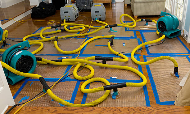 Professional Structural Drying And Dehumidification technician working in Salem, UT